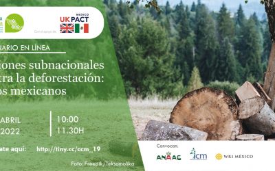 Acciones subnacionales contra la deforestación: casos mexicanos