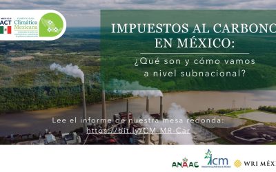 Estrategias para la Implementación Efectiva de Impuestos al Carbono en México